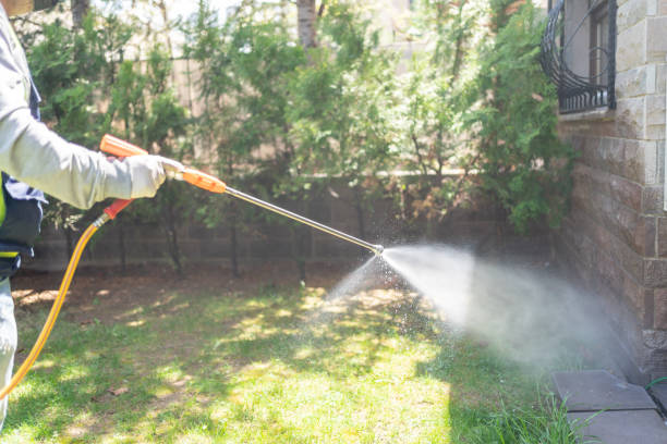 Wasp Removal Services in North Muskegon, MI